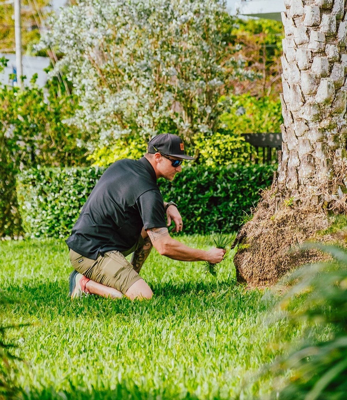 Detailed landscaping and grounds care